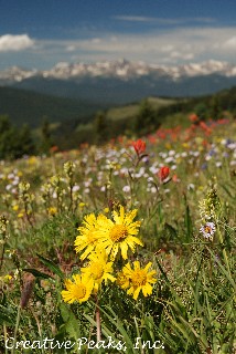 Old Man of the Mountain