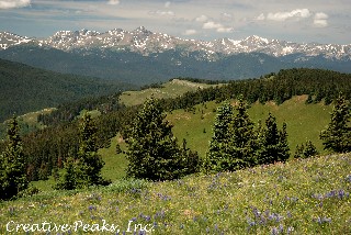 Shrine Pass