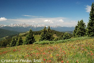 Shrine Pass