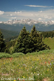 Shrine Pass